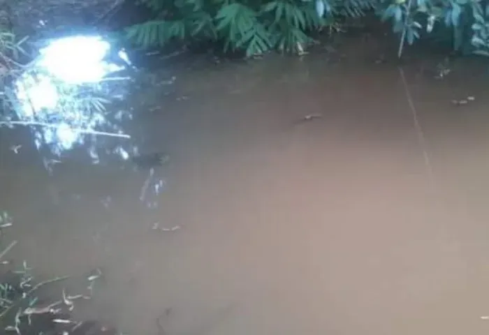 Chácara 2.000m² c/ Água Natural | Inhaúma MG