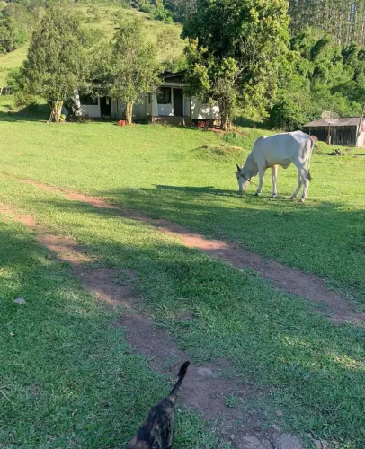 Lindo Sítio em Maquiné