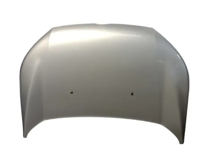 CAPO DIANTEIRO NOVA ECOSPORT 2013/2017 ORIGINAL 