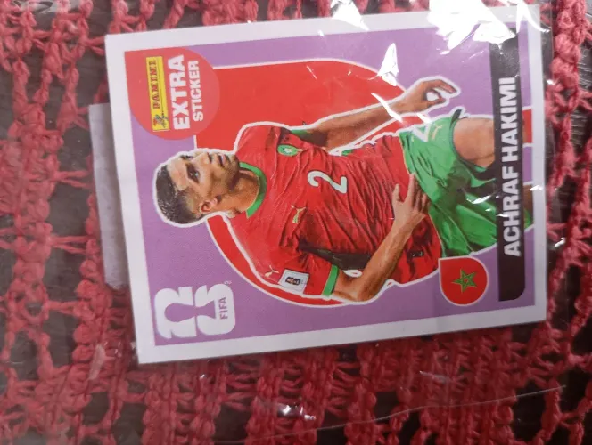 Hakimi bordo 
