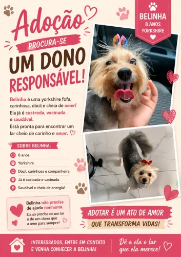 Doação Responsável ( Yorkshire)