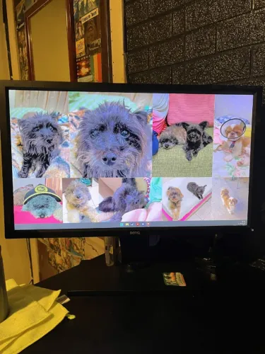 Monitor BenQ xl2430t USADO