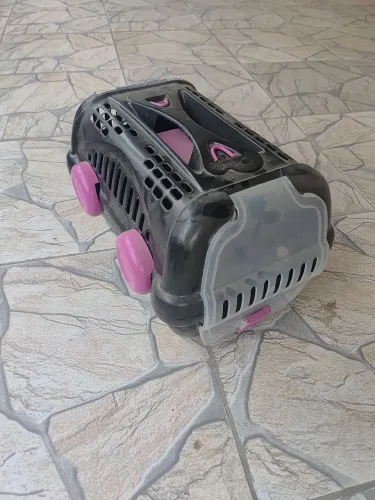 Caixa Transporte Cães e Gatos