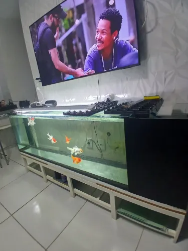 Aquario 