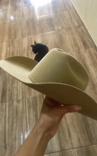 Vendo chapéu eldorado