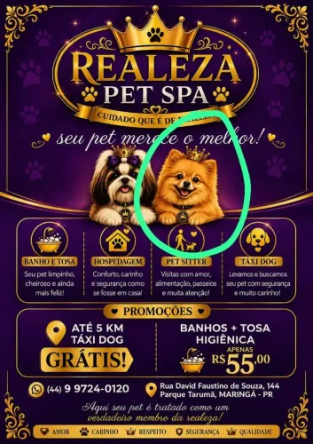 Banho e tosa