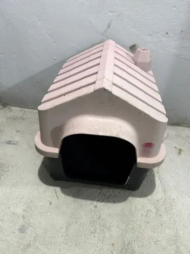Casinha cachorro