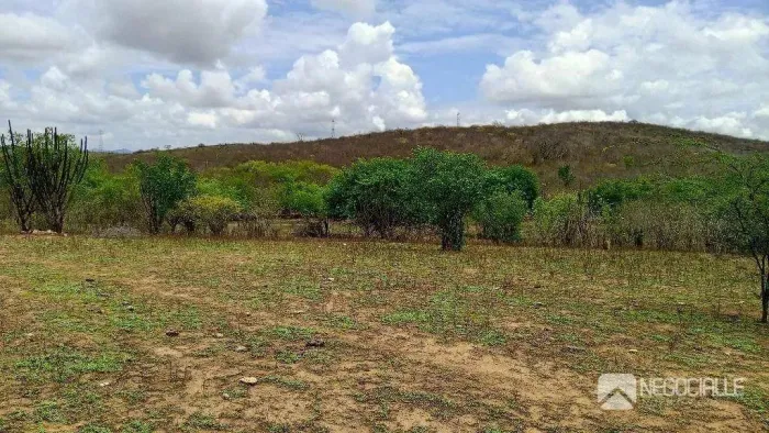 Área, fazenda para alugar, arrendar 1500000 m² por R$ 60.000/mês - Itatuba - Itatuba/PB