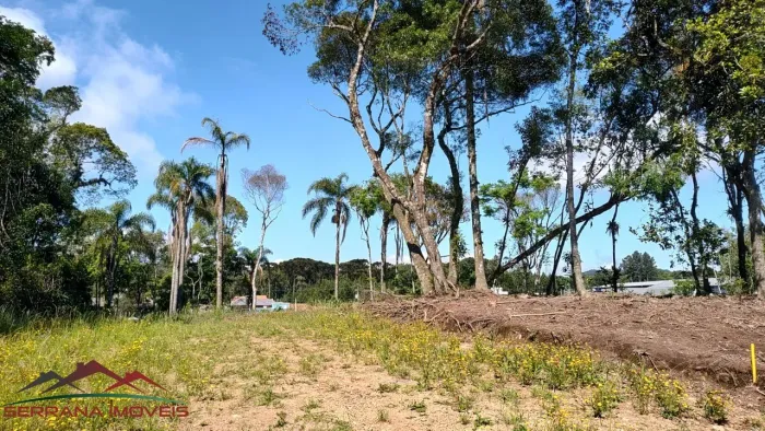TERRENO RESIDENCIAL em Nova Petrópolis - RS, Vila Germania