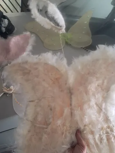 Asa de anjo