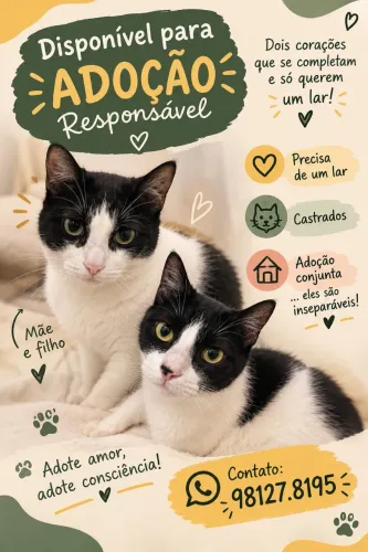 Casal de irmãozinhos 