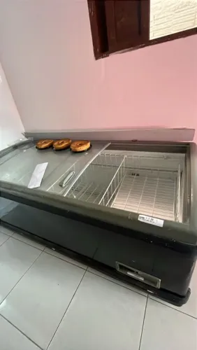 FREEZER EXPOSITOR