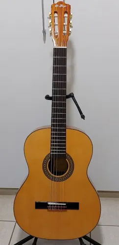 Violão Di Giorgio 38