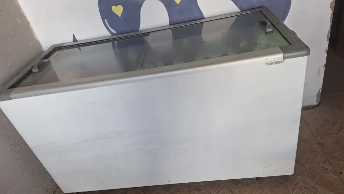 Freezer Fricon 503L