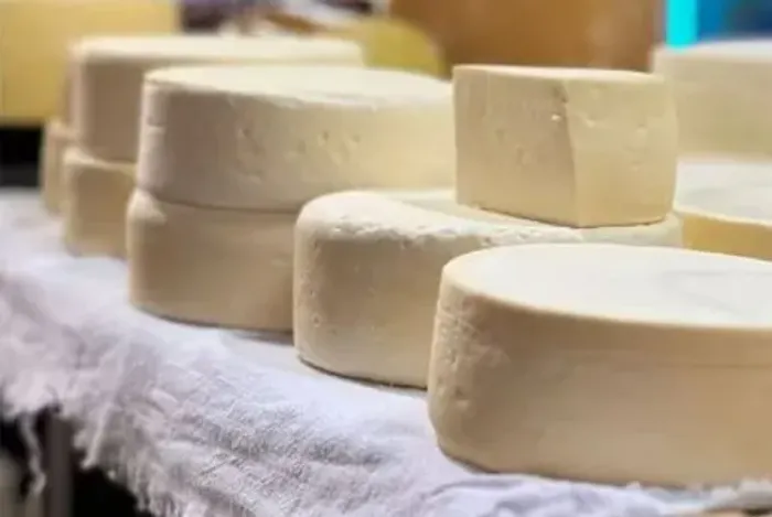 Vende-se queijo fresco meia cura 35 reais a peça 