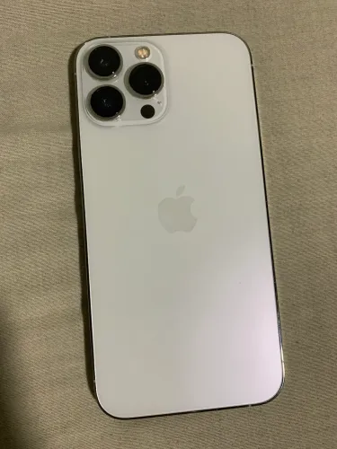 iPhone 13 Pro Max 256G