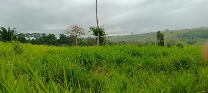 Vendo propriedade rural no PA Itacaíunas Açu.
