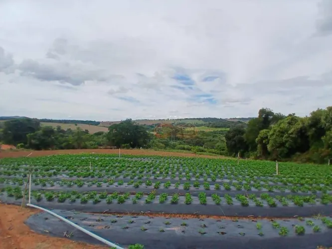 Sítio Rural / Dos Silva