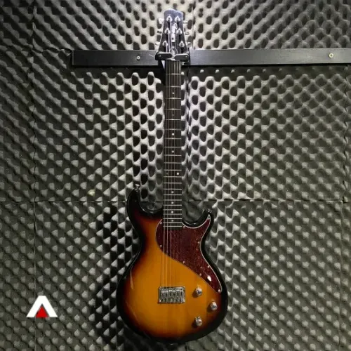 Line 6 Variax 600