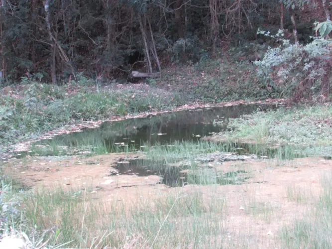 sítio com 3,5 alqueires em Camanducaia MG turismo