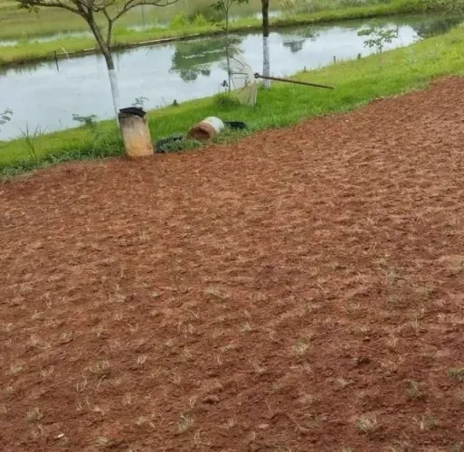 Grama Batatais Entrega Garantida Toda Região