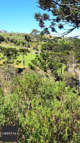 Fazenda 3 dormitórios à venda Centro Bom Jardim da Serra/SC