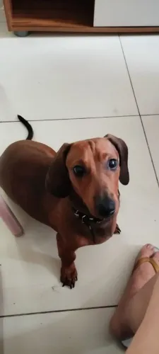 Doação responsável 