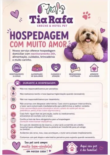 hospedagem para cães
