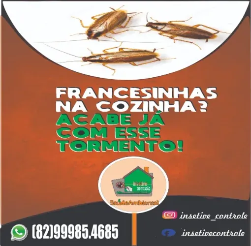 Dedetização Resolve e Desconto.