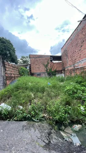 Terreno , Colonia terra nova
