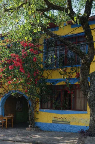 Restaurante vegano na Lapa Sp. Vende-se