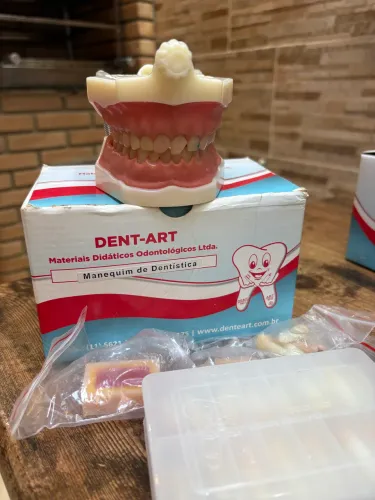 Kit de Manequins Odontológicos DentArt + Máscara simuladora (Bob)