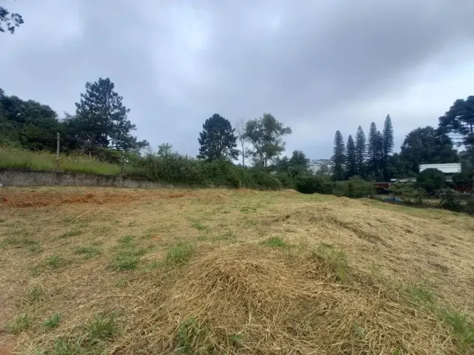 Terreno à venda, 2520 m² por R$ 1.100.000,00 - Granja Viana - Cotia/SP