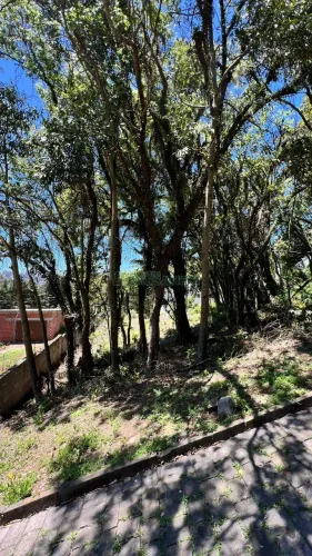 Terreno Colina Sorriso Caxias do Sul