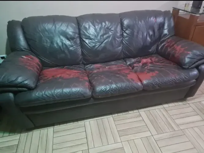 Conjunto de Sofás de Couro Legítimo com Estrutura de Madeira