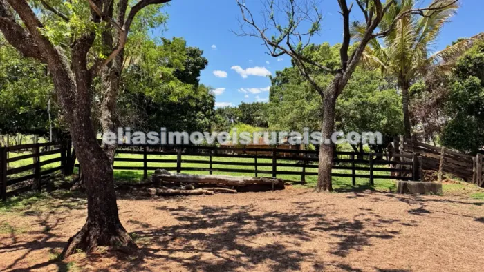 Fazenda 16 alqueires em Uberlândia