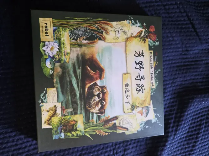 Meadow Downstream Expansão Jogo de Tabuleiro Board Game