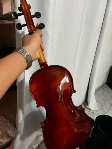 Violino