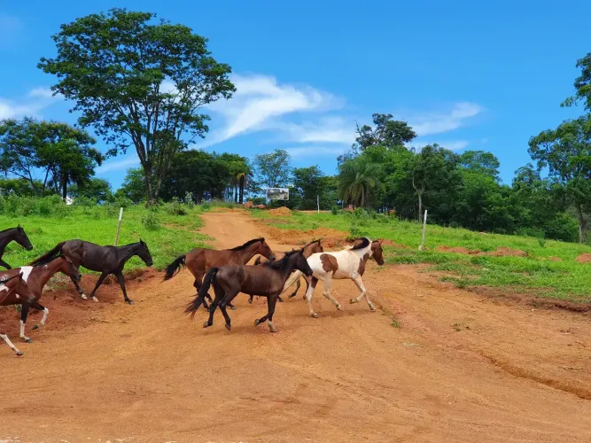 Terrenos com Pagamento Facilitado Condomínio com Segurança Lazer e Área Verde