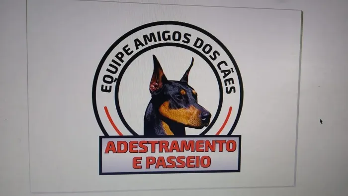 Adestramento somente região de jundiai