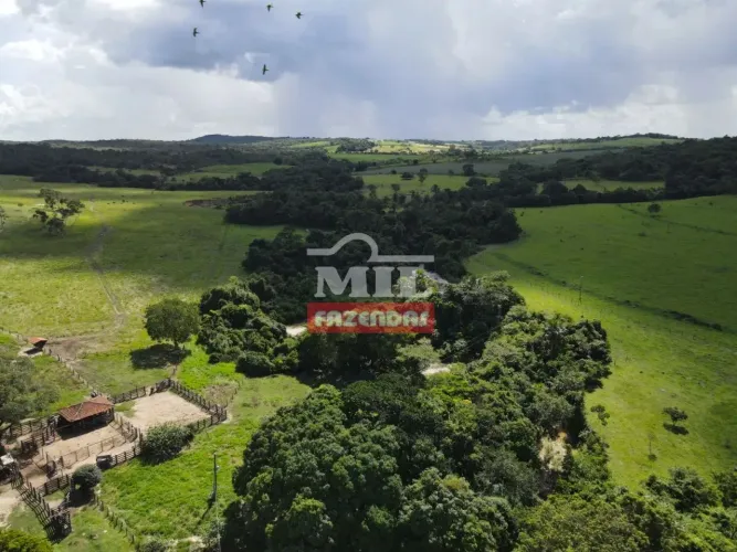Fazenda 45 alqueires ( 217,8 hectares ) Itapuranga - GO