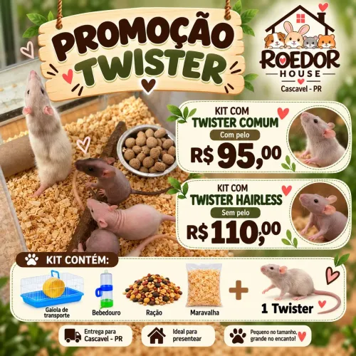 Promoção kit Twister