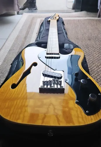 Guitarra Telecaster Thinline 