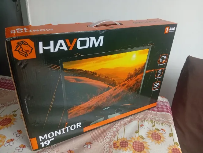 Monitor 19