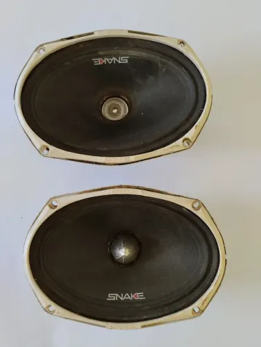 Alto falante SNAKE PRO 6X9
