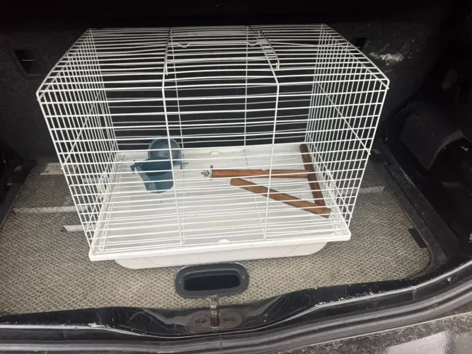 gaiola de hamster