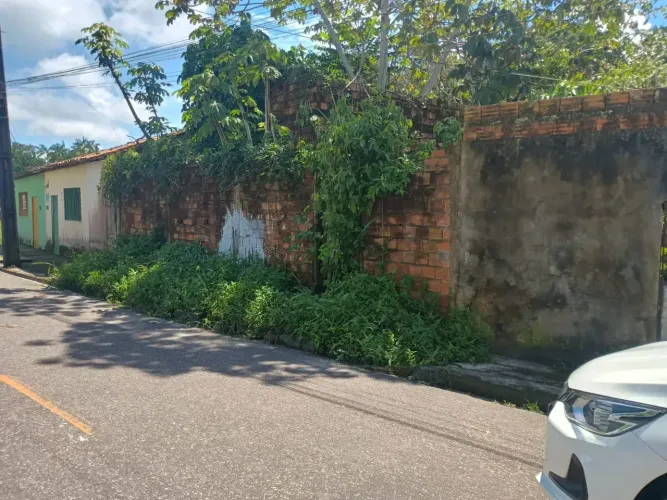 Terreno 10x60 Curuçambá px eletronorte