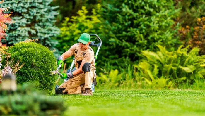 Ajudante serviços de jardinagem 