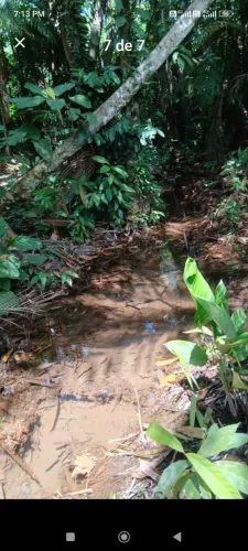 Vendo terreno com igarapé no vila Nova