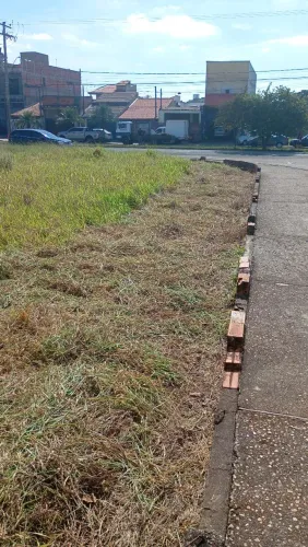 Limpeza de terreno e jardinagem 